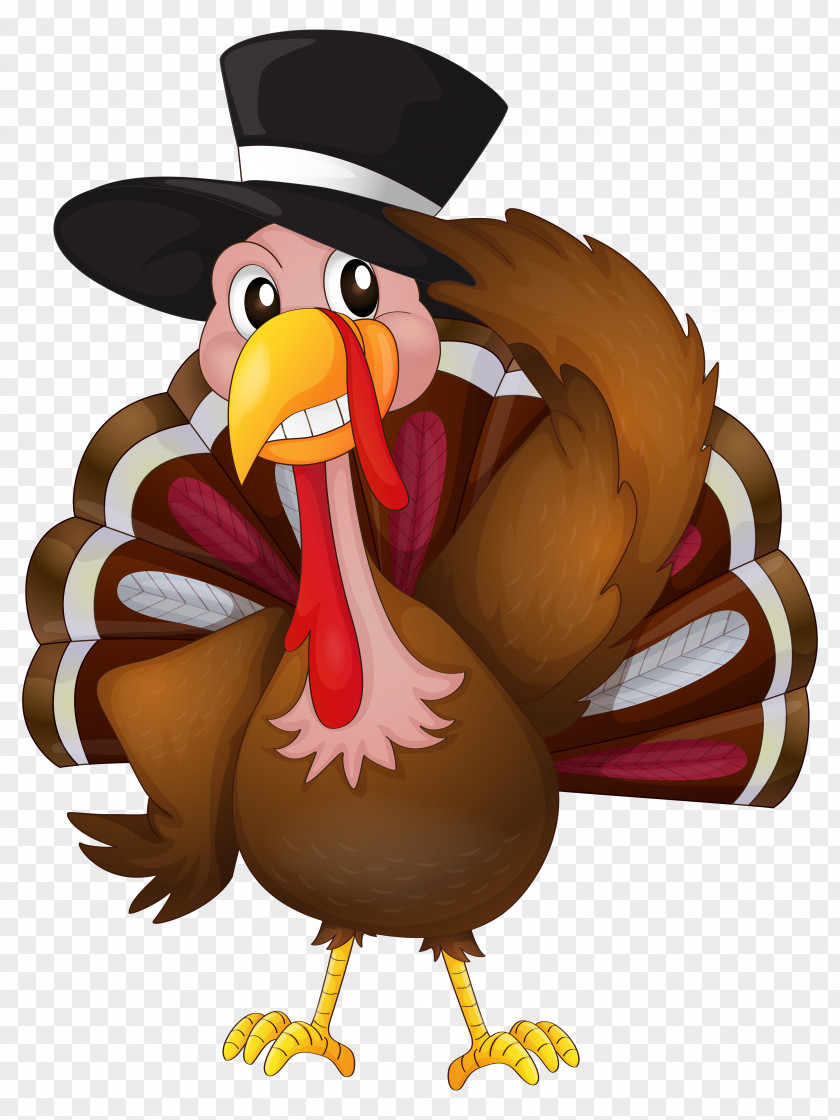 Thanksgiving Turkey With Hat Clip Art Image The Trot Coloring Book PNG