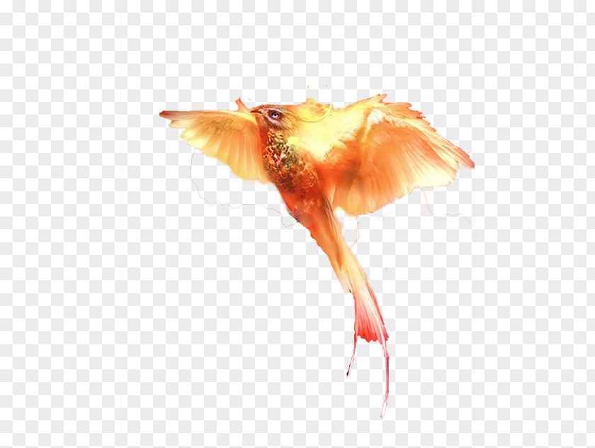 Flying Suzaku Vermilion Bird Download Computer File PNG