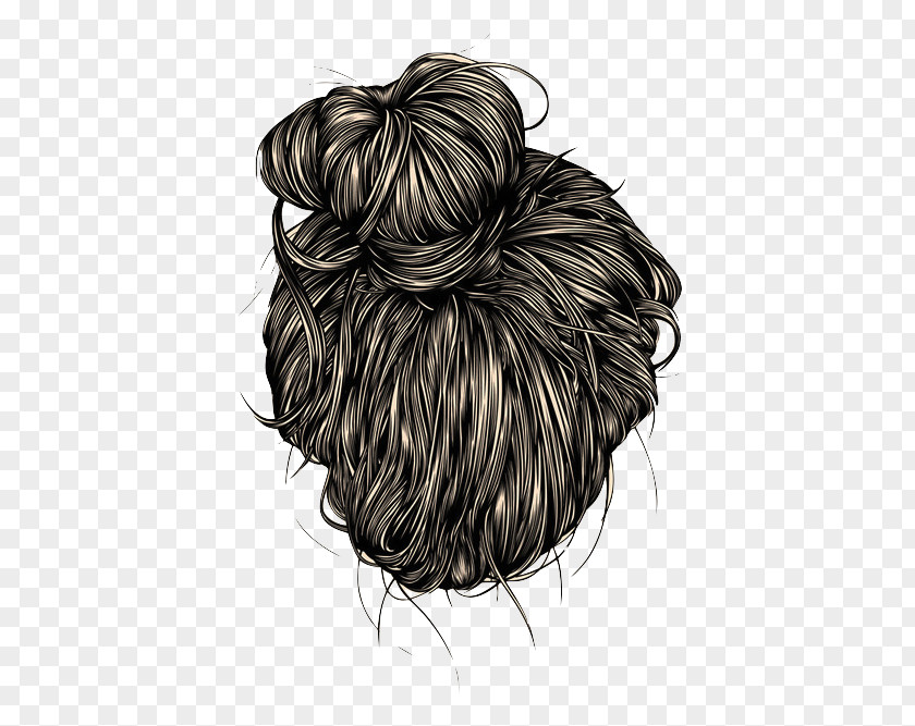 Hair Drawing Illustration Image Art Bun PNG