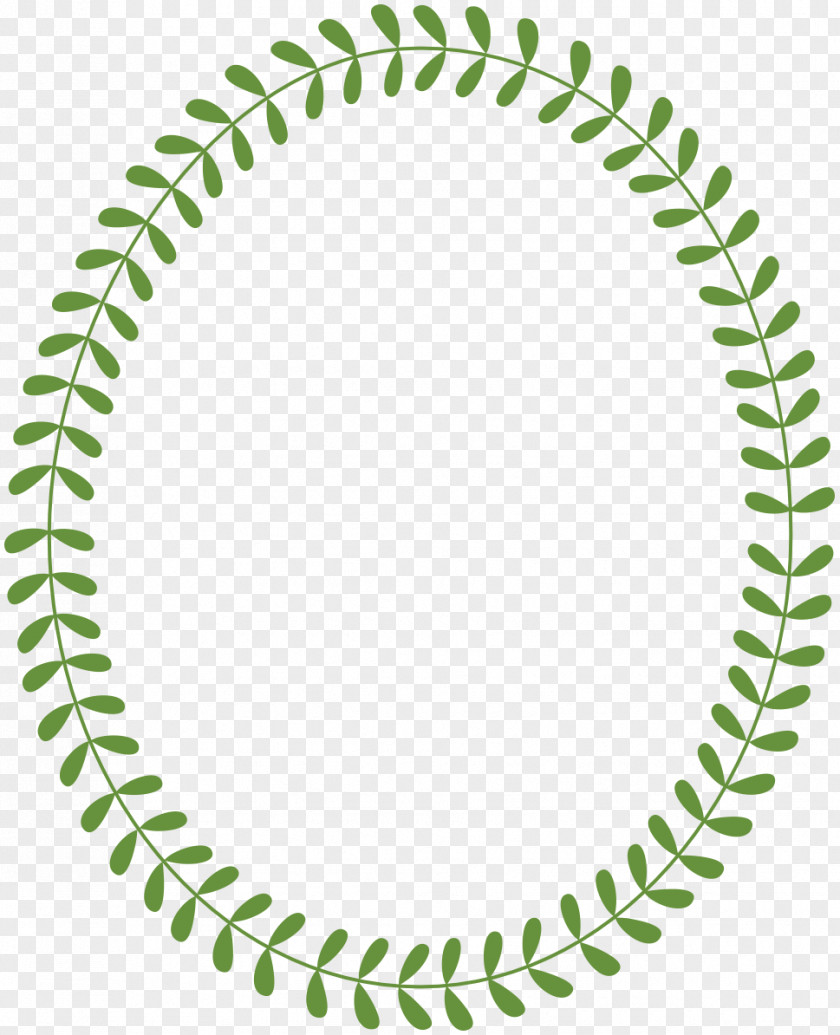 Oval Outline Cliparts Bay Laurel Circle Wreath Leaf Clip Art PNG