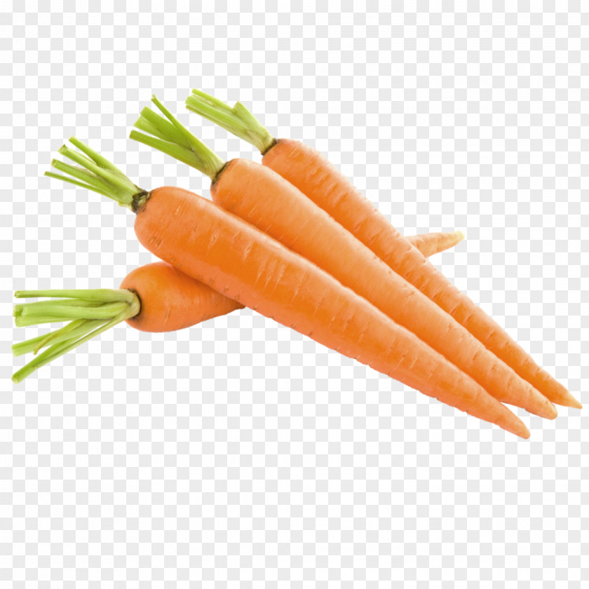 Carrot Vegetable Food Health Fruit PNG