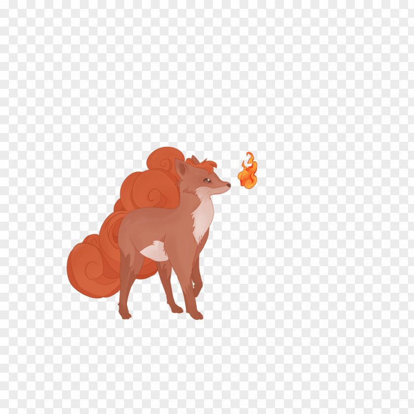 Dog Canidae Cat Snout PNG