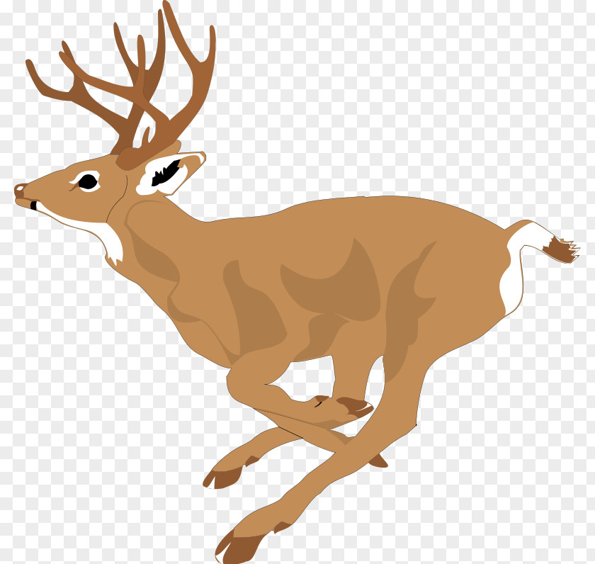 Free Deer Pictures White-tailed Running Clip Art PNG