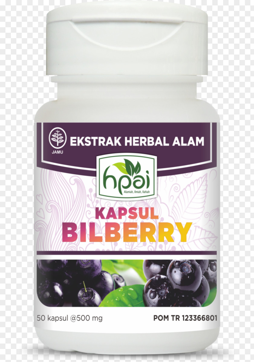 Health Bilberry Blueberry Herb Centella Asiatica PNG