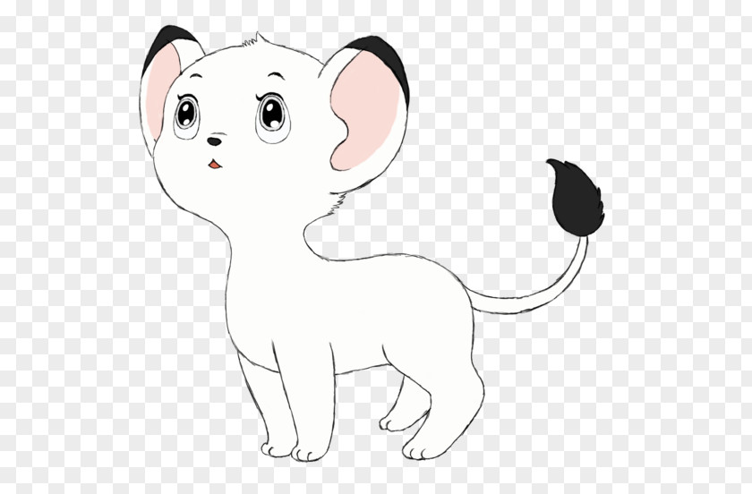 Kitten Kimba The White Lion Whiskers Leo Puppy PNG