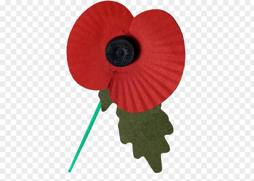 Remember Remembrance Poppy Desktop Wallpaper Armistice Day PNG