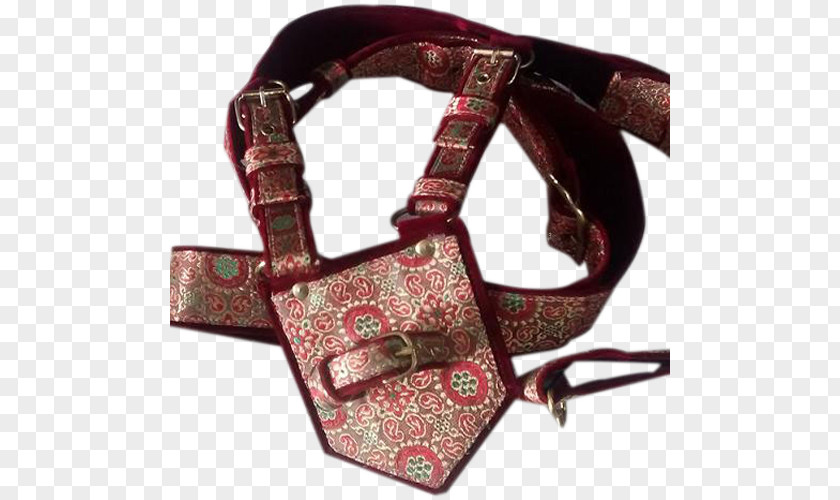 Belt Handbag Rajasthan Sherwani Jutti PNG