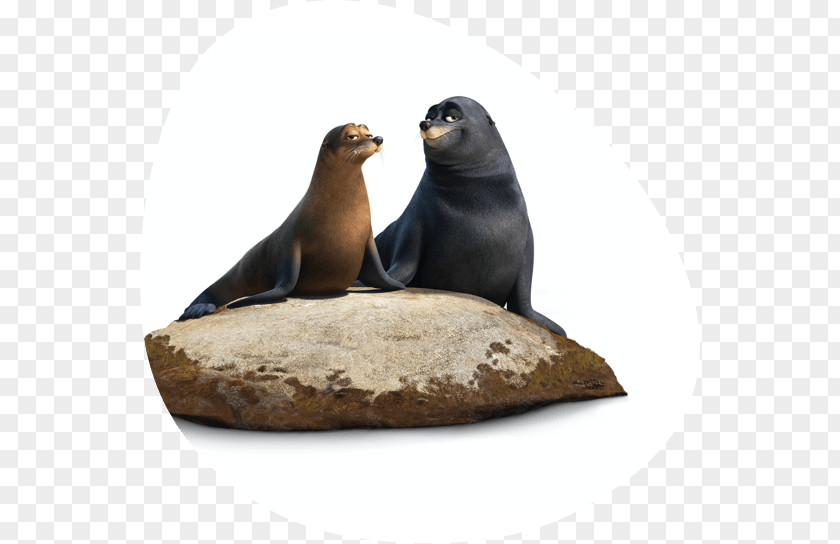 Dory And Marlin Finding Nemo Pixar Character Film Director PNG