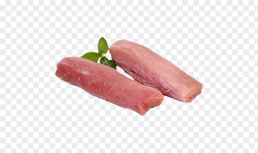 Fillet Pork Tenderloin Ribs Chop PNG