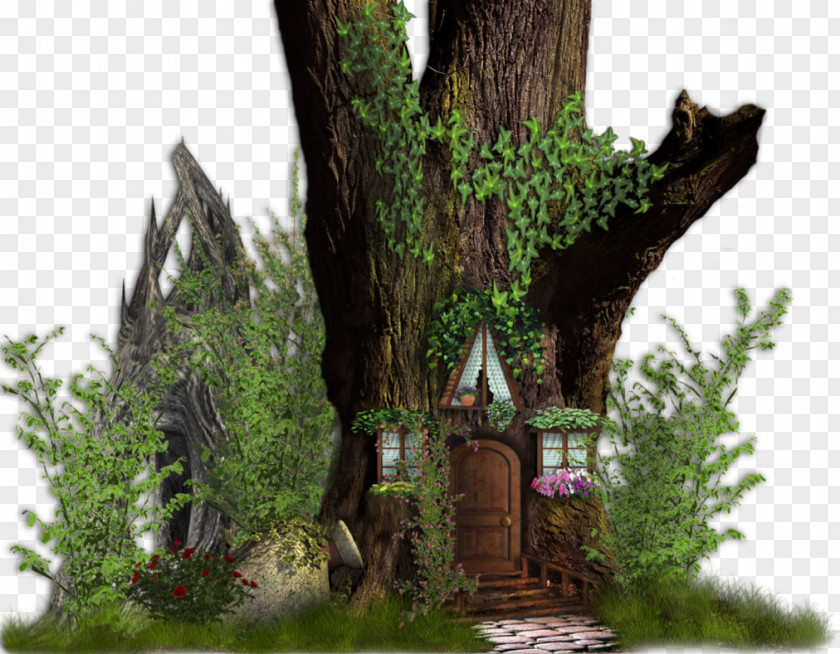 Fairy Tale Tree House Desktop Wallpaper PNG