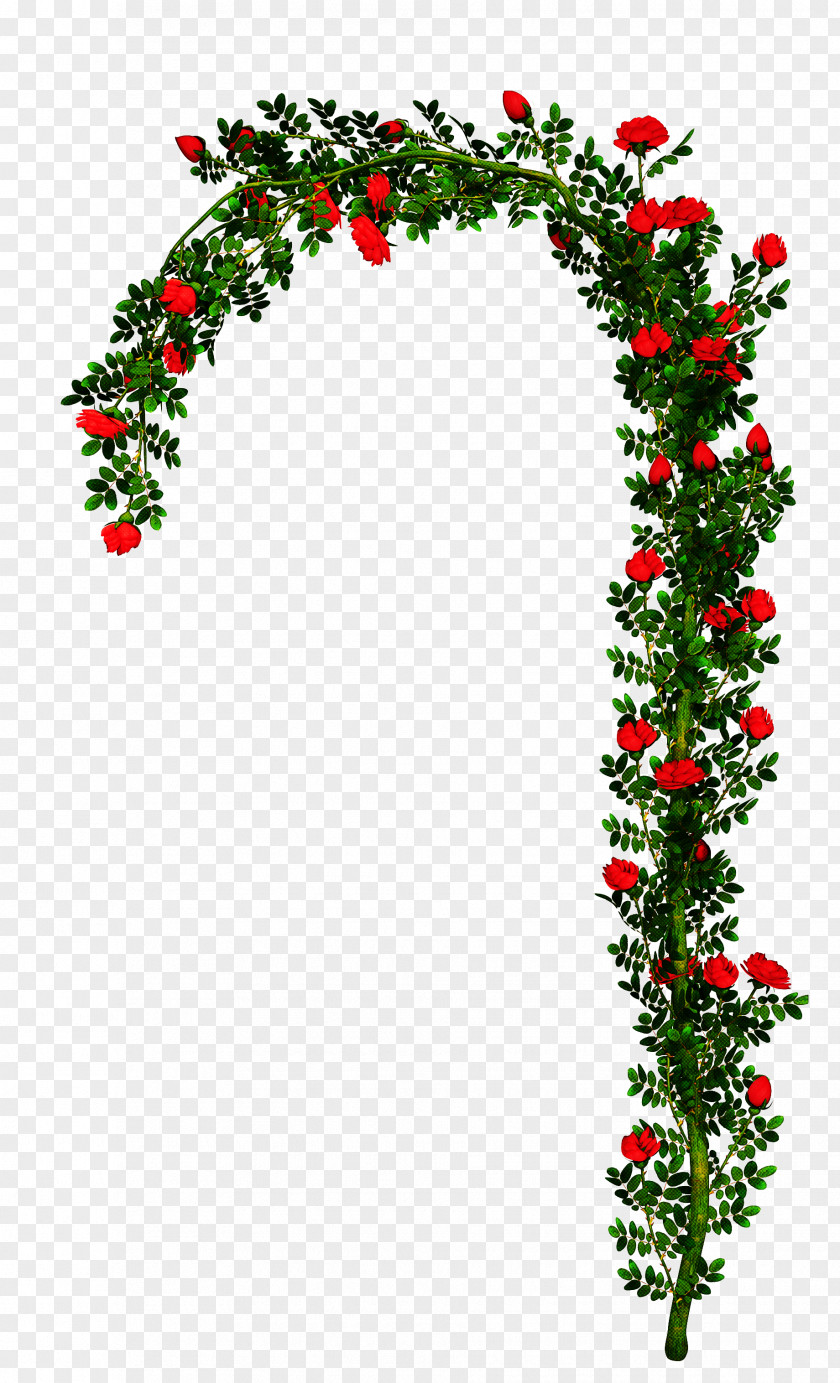 Ivy Christmas Decoration Drawing PNG