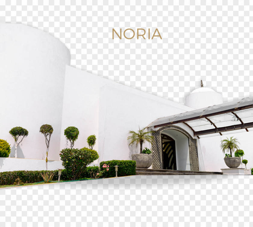 Noria Product Design Property PNG