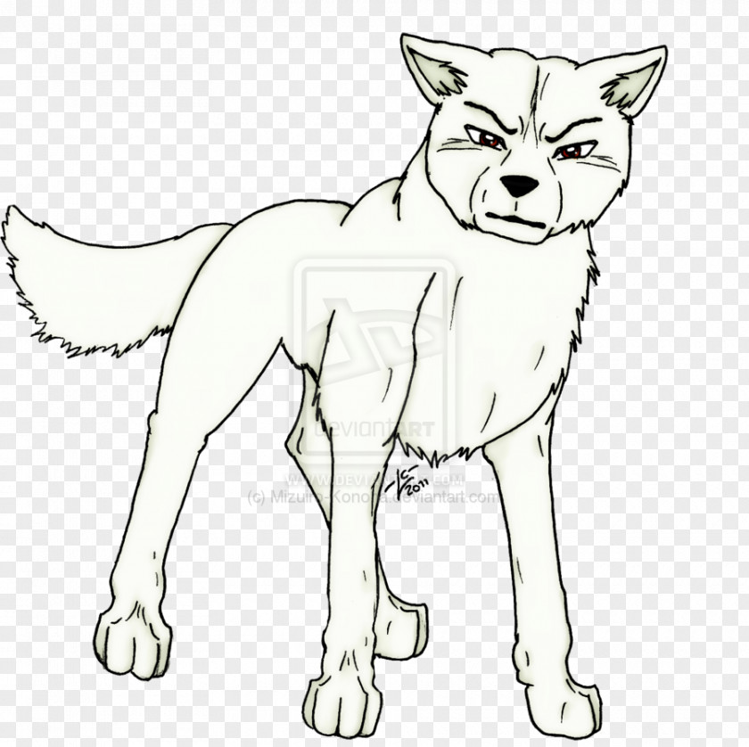 Dog Whiskers Red Fox Breed Line Art PNG
