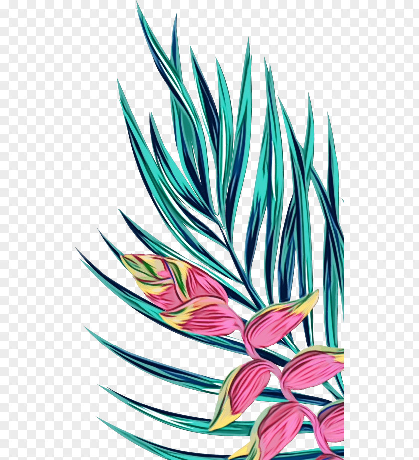 Flowering Plant Herbaceous Leaf Flower Grass Family Clip Art PNG