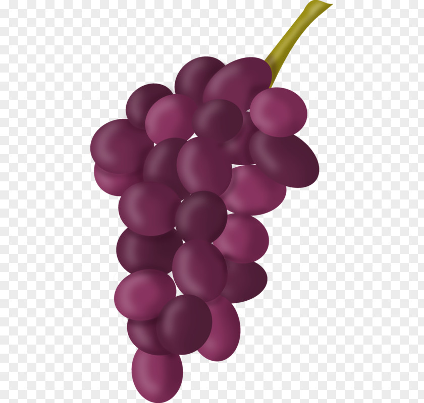 Grape Common Vine Seed Extract Photography Clip Art PNG
