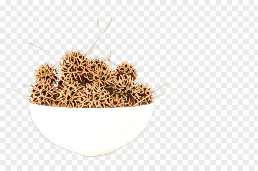 Grass Family Plant Food Cereal Psyllium Seed Husks PNG