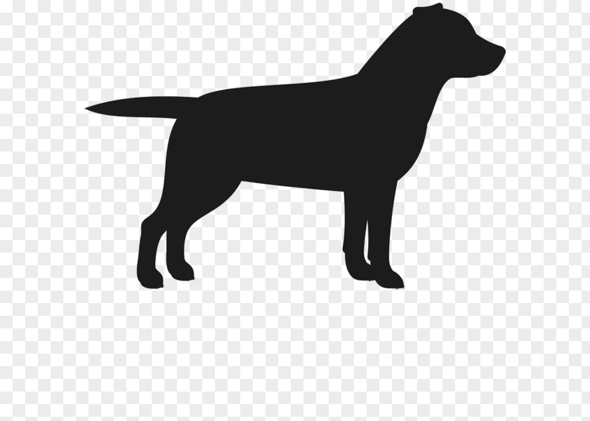 Labrador Dog Retriever Puppy Staffordshire Bull Terrier Breed PNG