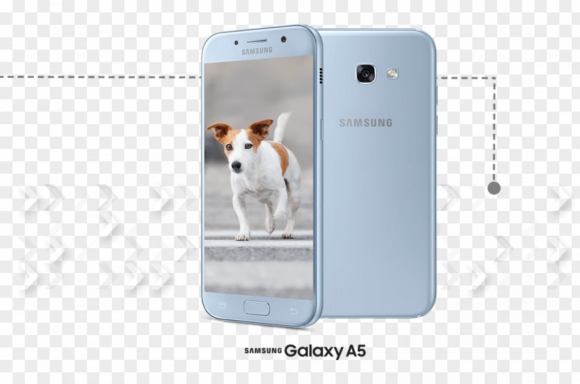 Samsung A5 Smartphone Dog PNG