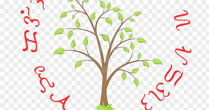 Tree Drawing Deciduous PNG