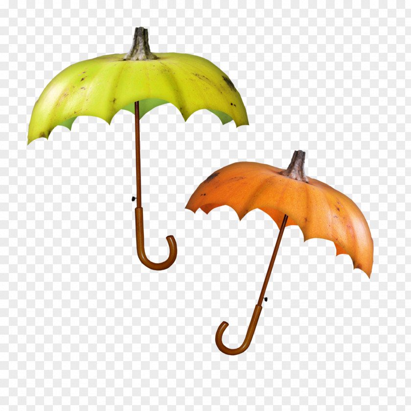 Umbrella Clothing Accessories Clip Art PNG