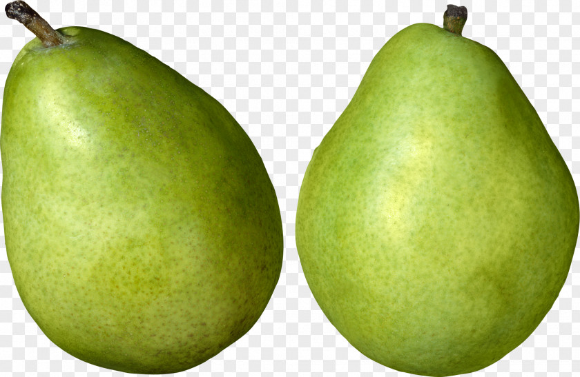 Green Pears Image Asian Pear Crisp Tart Clip Art PNG