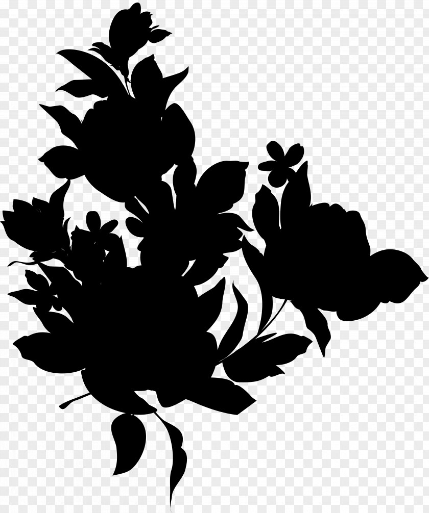 Rose Family Floral Design Leaf PNG