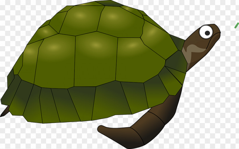 Turtle Cartoon Green Sea Reptile Clip Art PNG