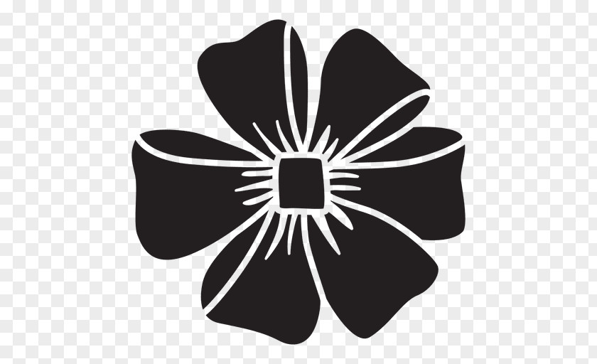Flower Black And White Christmas PNG
