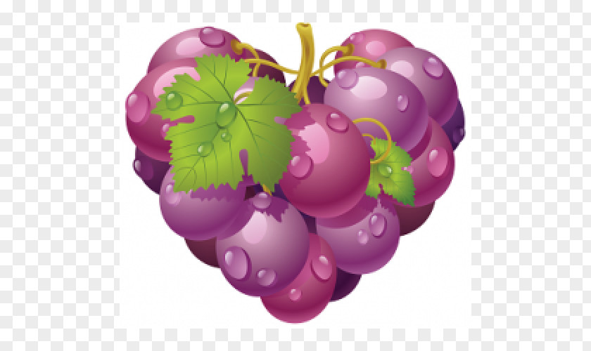 Grape Common Vine Vector Graphics Clip Art Image PNG