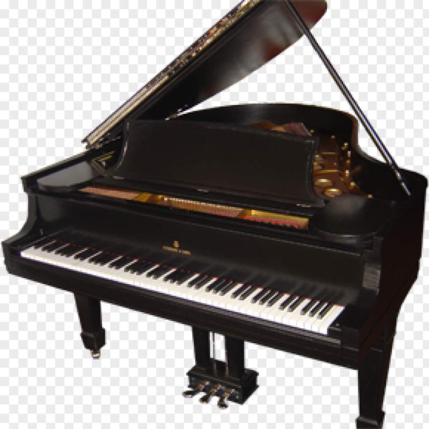 Piano Digital Musical Instruments Steinway & Sons Wilhelm Schimmel PNG