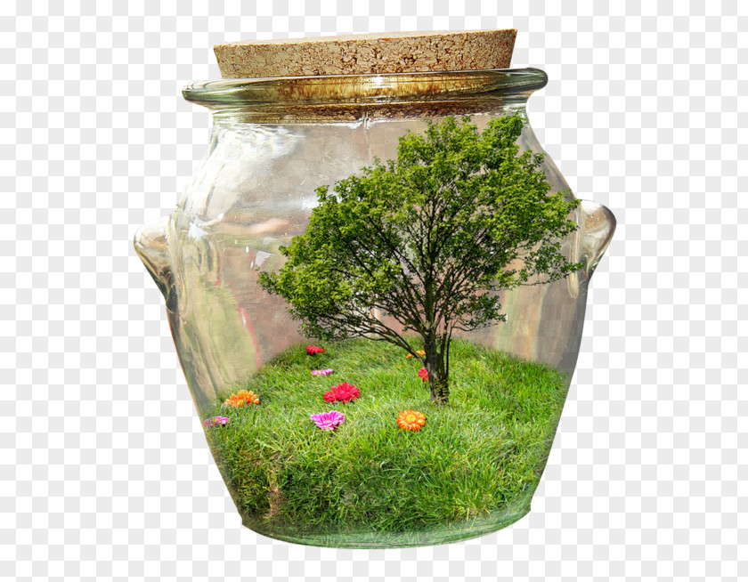 Bottle Glass Jar PNG