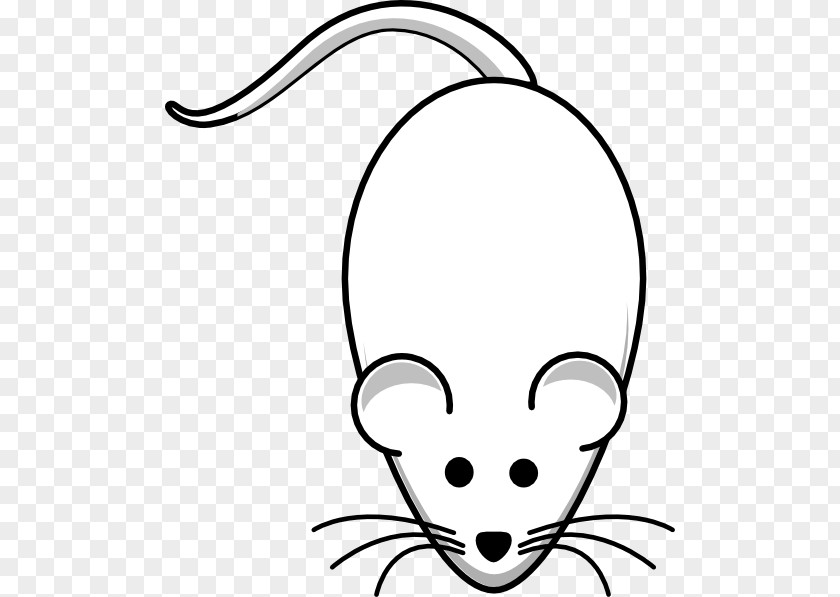 Rat Laboratory Mouse Black Drawing Clip Art PNG