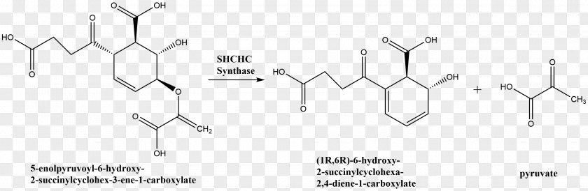 Reaction Dextroamphetamine Purple Coneflower Beta-Carotene PNG