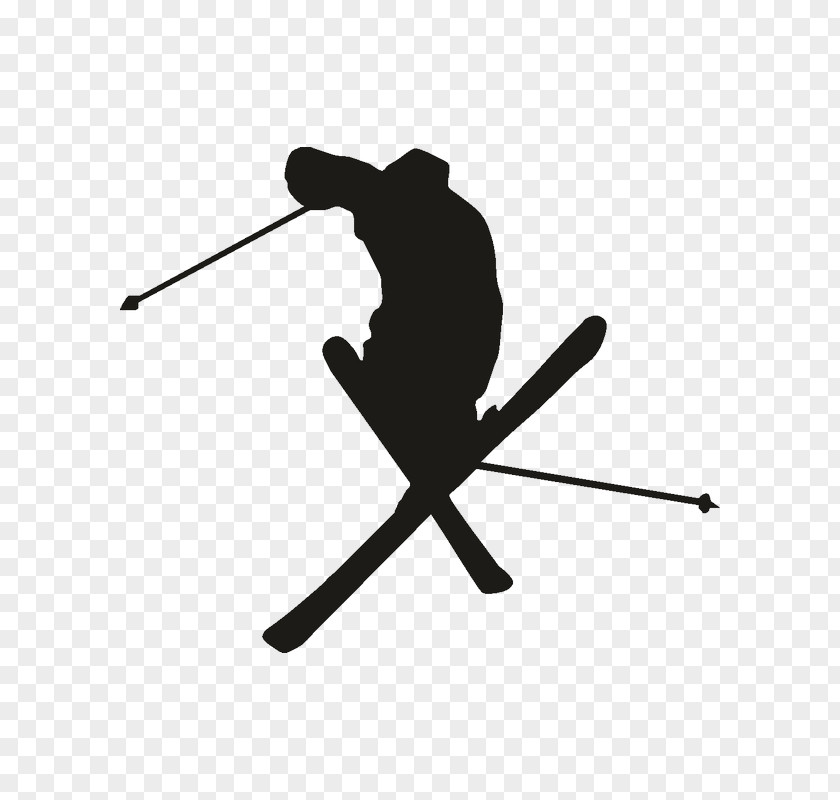 Skiing Alpine Freestyle Snowboard PNG