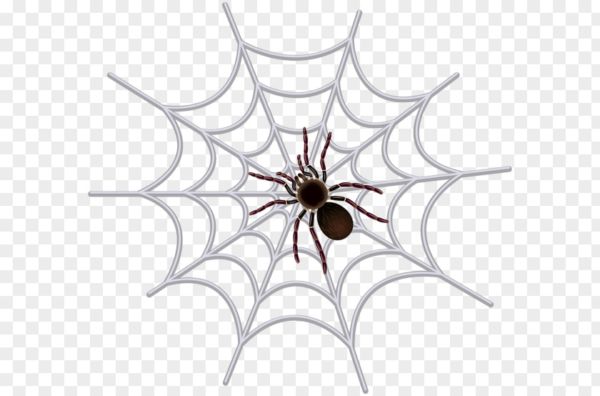 Spider Web Cricut Clip Art PNG