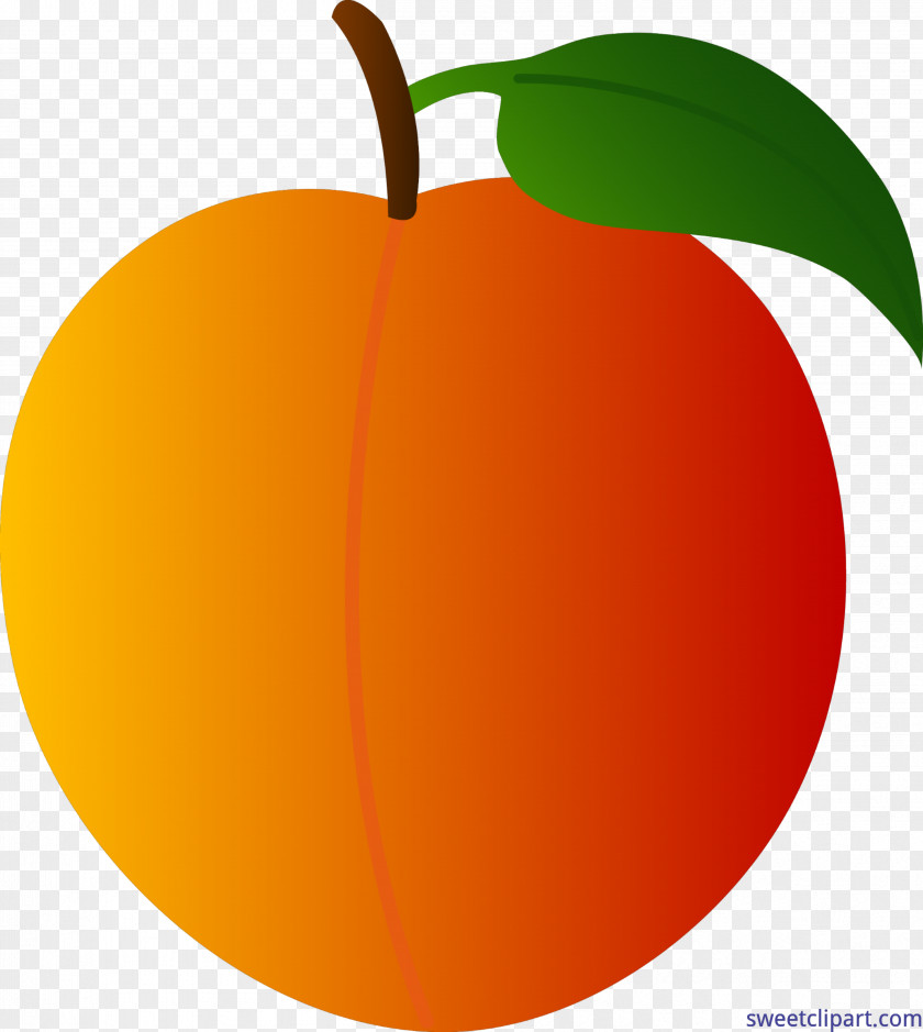 Sunkist Cartoon Clip Art Openclipart Free Content Image Peach PNG