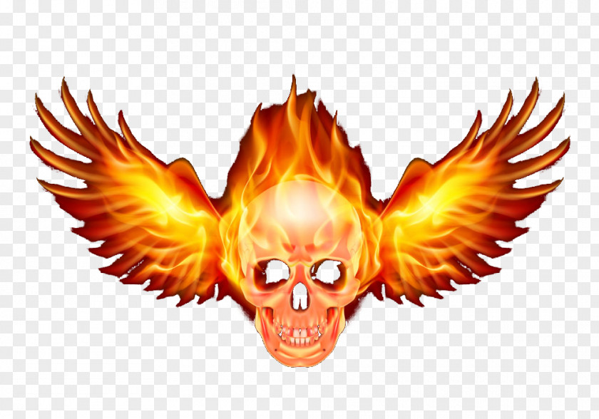 Wings Skull Flame Combustion Download PNG
