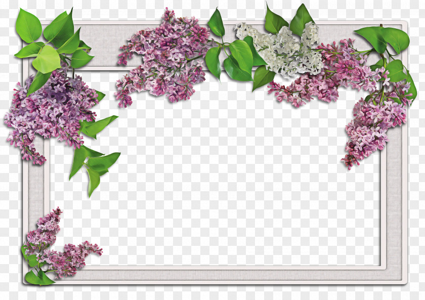 Wisteria Picture Frame Background Flower PNG