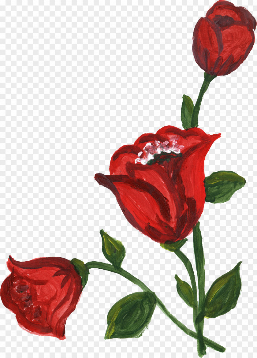 Flower Corner Rose Clip Art PNG