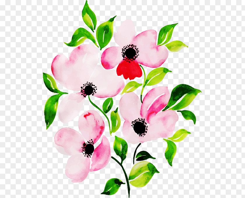 Flower Petal Pink Plant Branch PNG