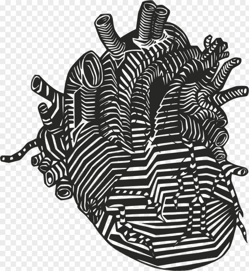 Gothic Fiction Heart Anatomy Drawing Clip Art PNG