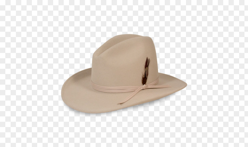 Hat Raylan Givens Cowboy Gitman Bros PNG