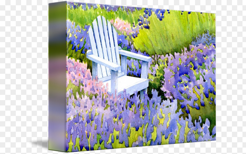 Tulip English Lavender Gallery Wrap Meadow Canvas Printmaking PNG