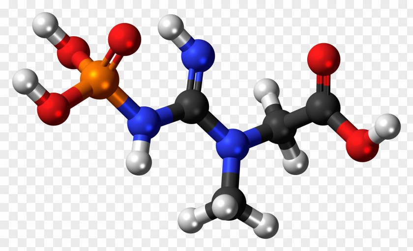 3d Balls Essential Amino Acid Non-nucleophilic Base Molecule PNG