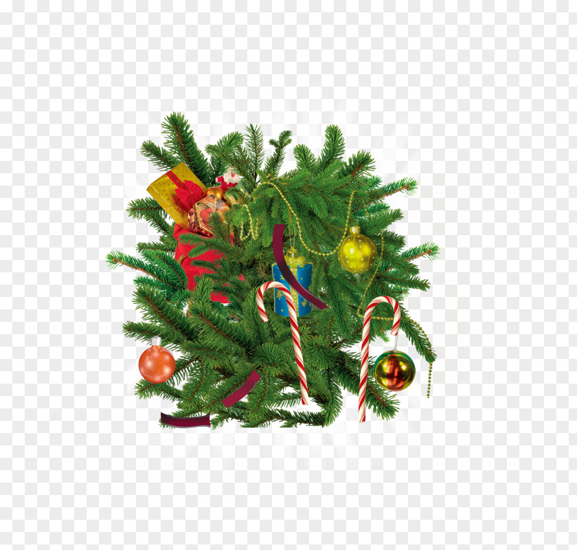 Christmas Tree Santa Claus Gift PNG