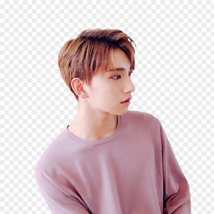 Hair JOSHUA Don't Wanna Cry Seventeen Al1 PNG