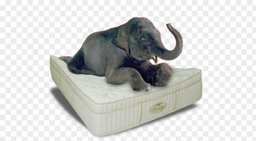 Mattress Bedroom Furniture Sets Indian Elephant Headboard PNG