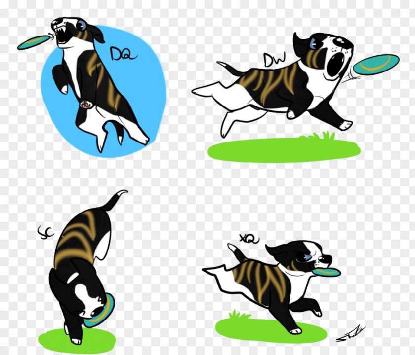 Cat Dog Insect Clip Art PNG
