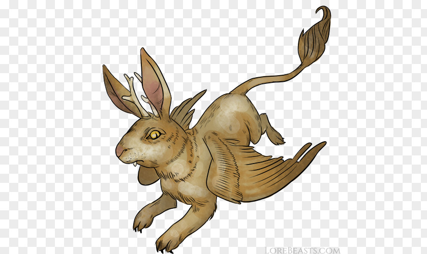 Creatures From Mythology Rabbit Hare Wolpertinger Legendary Creature Folklore PNG