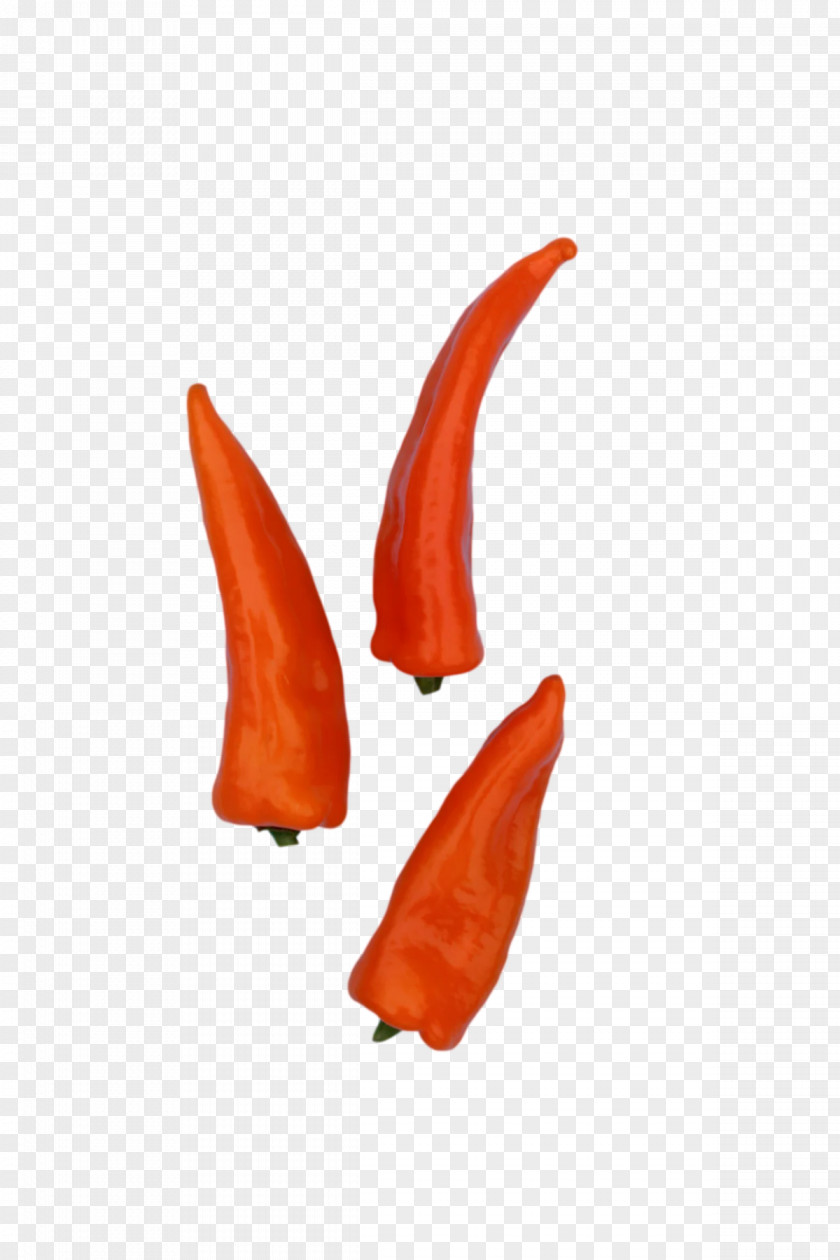 Peppers Peperoncino Cayenne Pepper Bell PNG